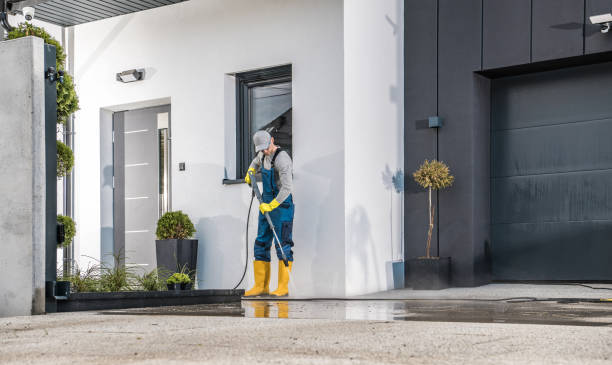 Best Animal Enclosure Cleaning  in Bloomville, OH